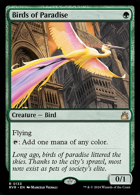 Birds of Paradise 133
