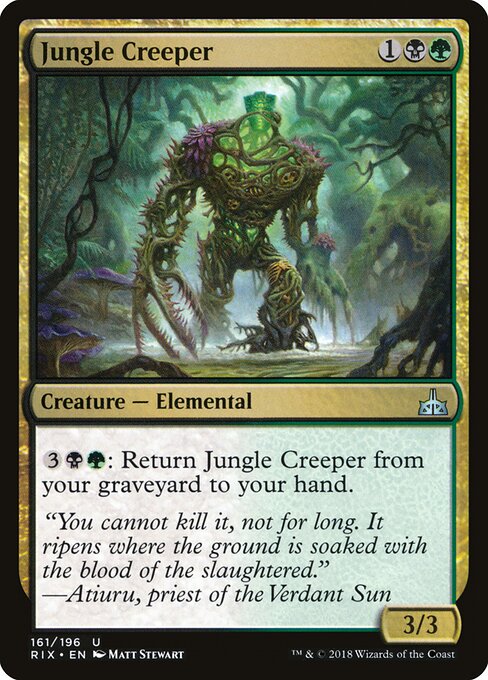 Jungle Creeper 161