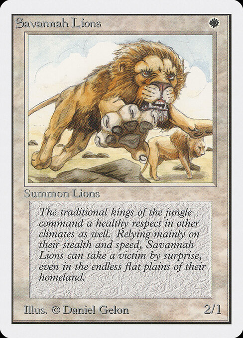 Savannah Lions 39