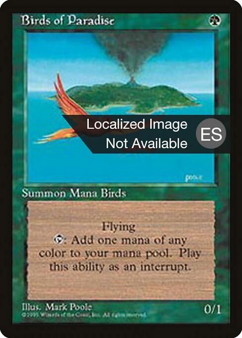 Birds of Paradise 234
