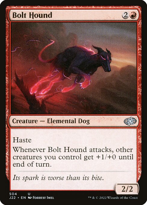 Bolt Hound 504