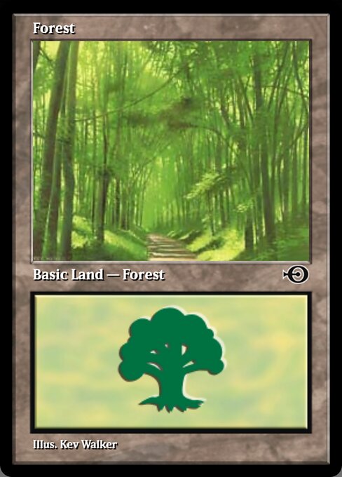 Forest 279