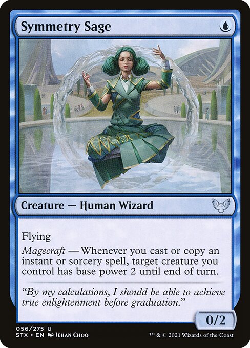 Symmetry Sage 56
