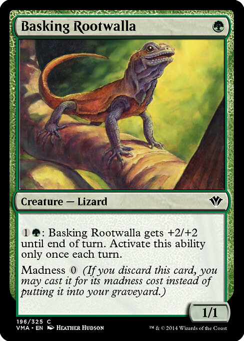 Basking Rootwalla 196