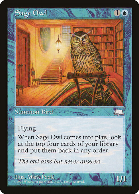 Sage Owl 52