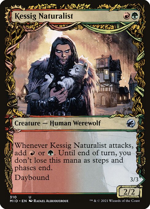 Kessig Naturalist // Lord of the Ulvenwald 310