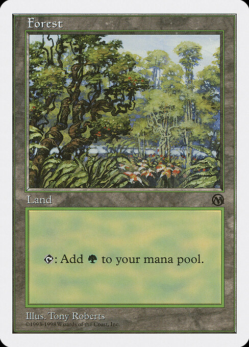 Forest 84