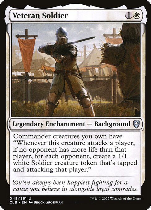 Veteran Soldier 48