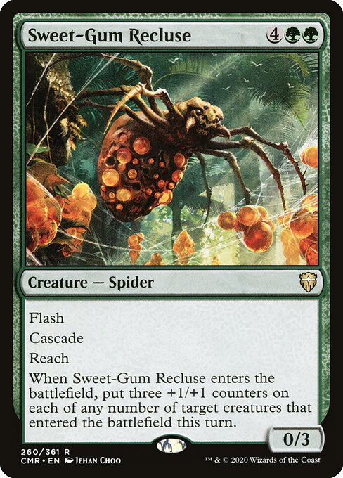Sweet-Gum Recluse 260