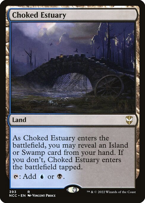 Choked Estuary 393