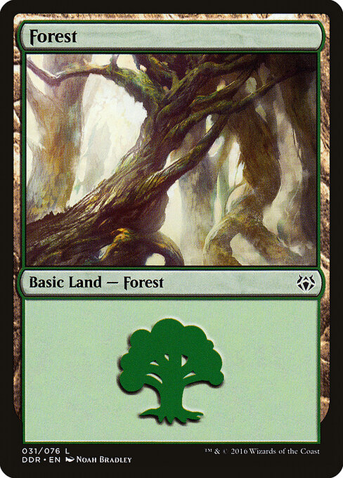 Forest 31