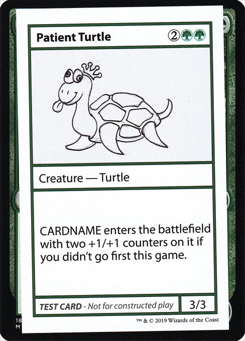 Patient Turtle 82