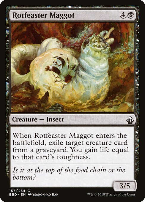 Rotfeaster Maggot 157