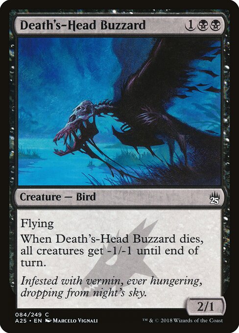 Death's-Head Buzzard 84