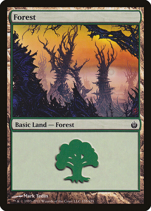 Forest 155