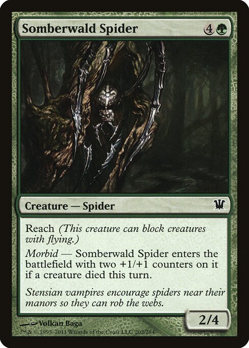 Somberwald Spider 202
