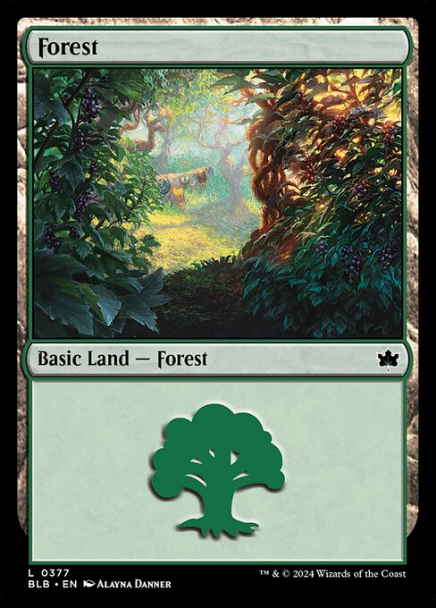 Forest 377