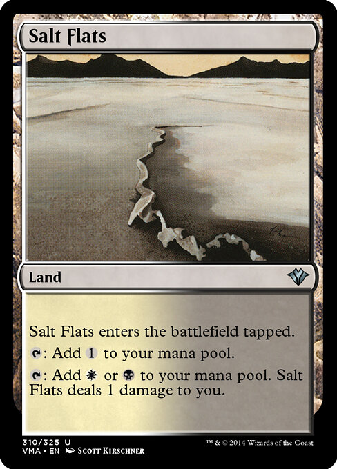 Salt Flats 310