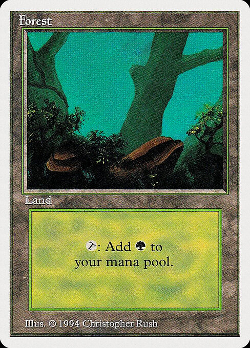 Forest 304