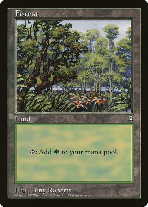 Forest 5
