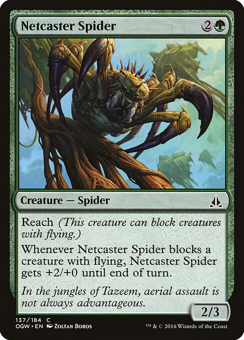 Netcaster Spider 137