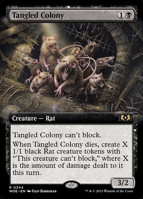 Tangled Colony 344