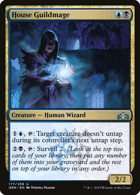 House Guildmage 177