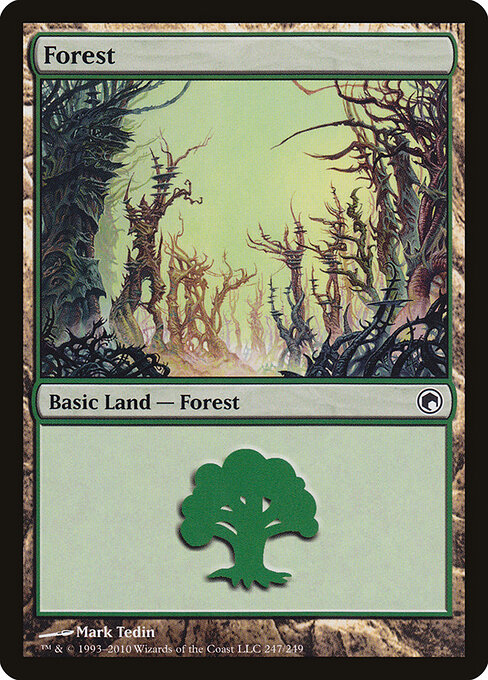 Forest 247