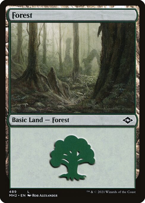 Forest 489