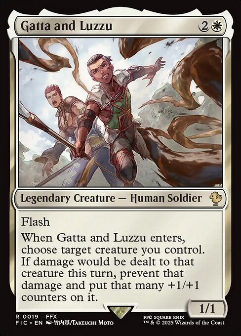 Gatta and Luzzu 19