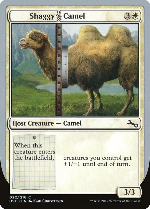 Shaggy Camel 22