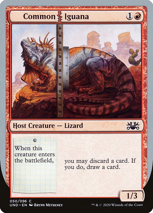 Common Iguana 50
