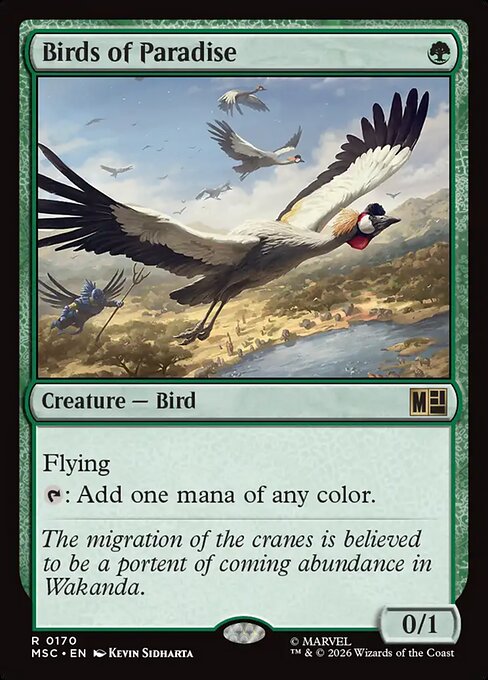 Birds of Paradise 170
