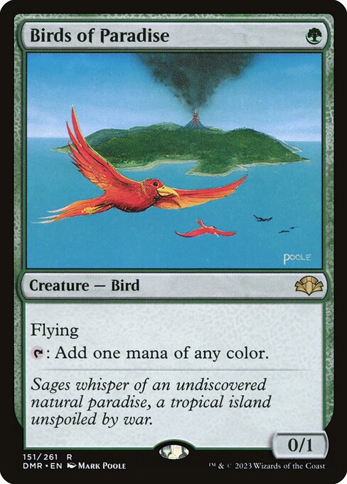 Birds of Paradise 151