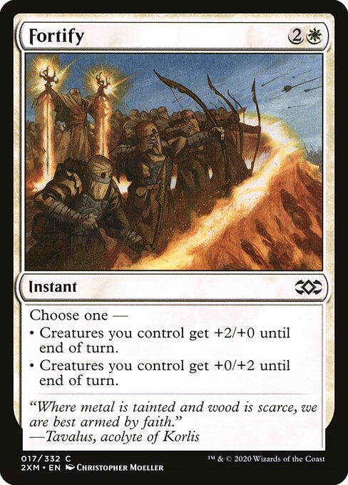Fortify 17