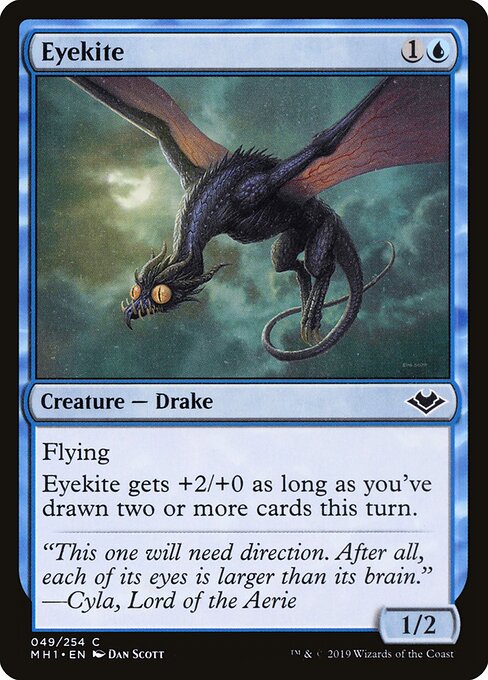 Eyekite 49