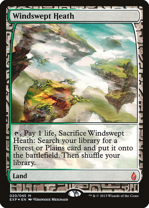 Windswept Heath 20