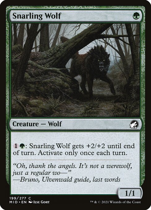 Snarling Wolf 199