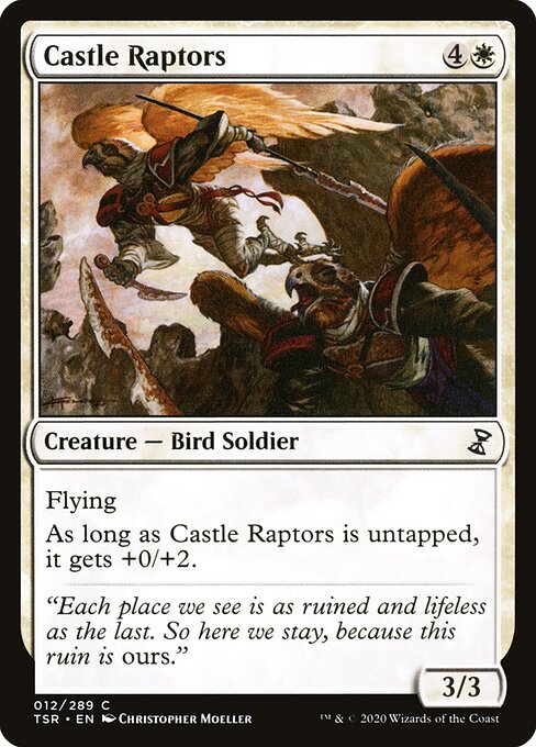 Castle Raptors 12