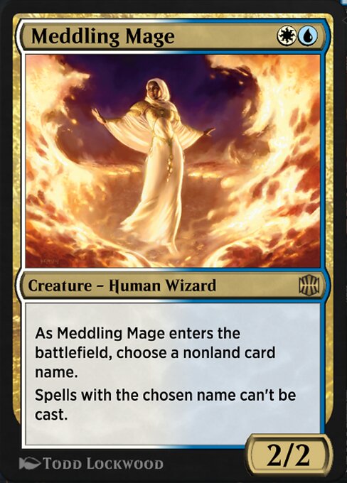 Meddling Mage 17