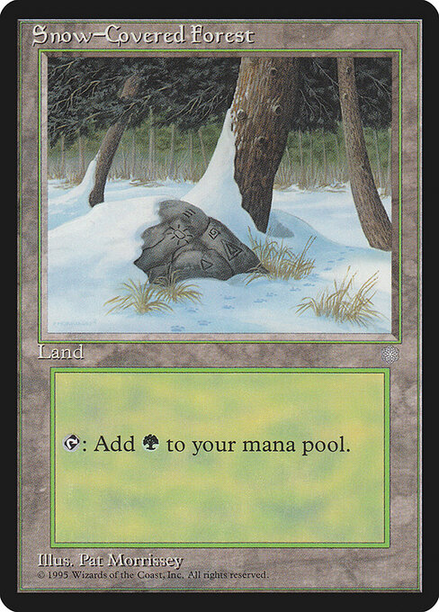 Snow-Covered Forest 383