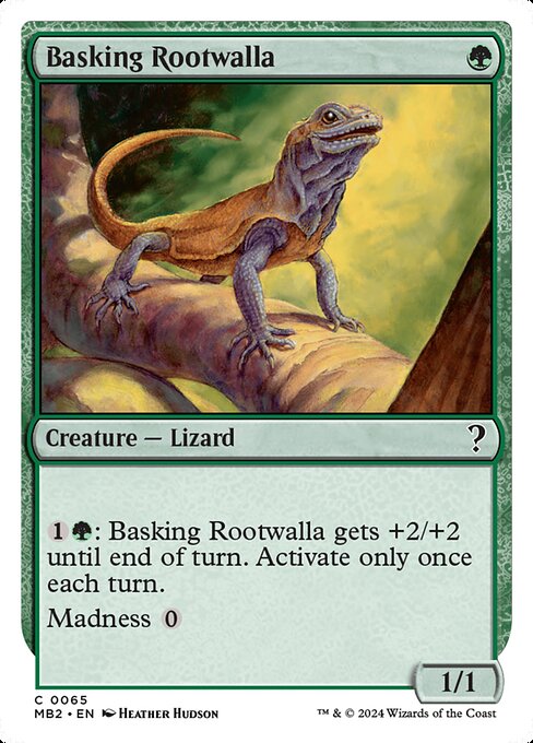 Basking Rootwalla 65