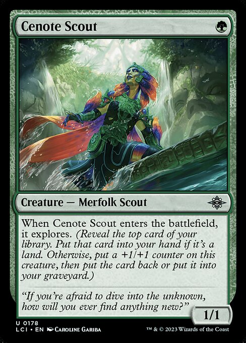 Cenote Scout 178