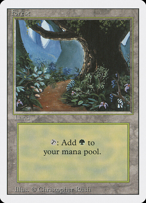 Forest 305