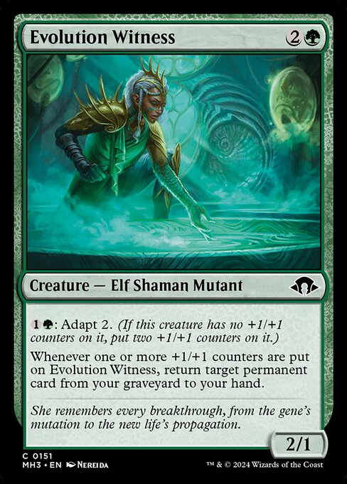 Evolution Witness 151