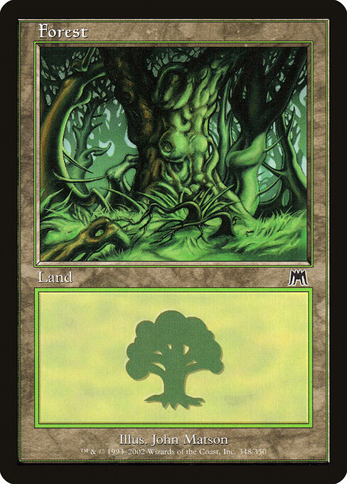 Forest 348