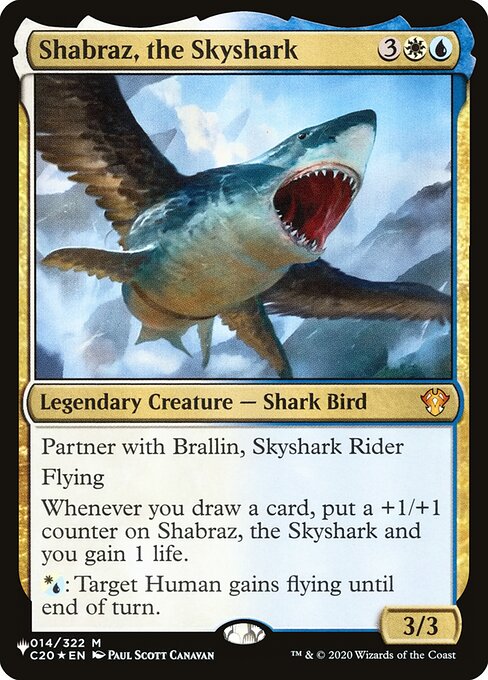 Shabraz, the Skyshark C20-14