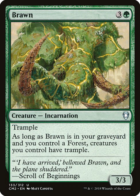 Brawn 133