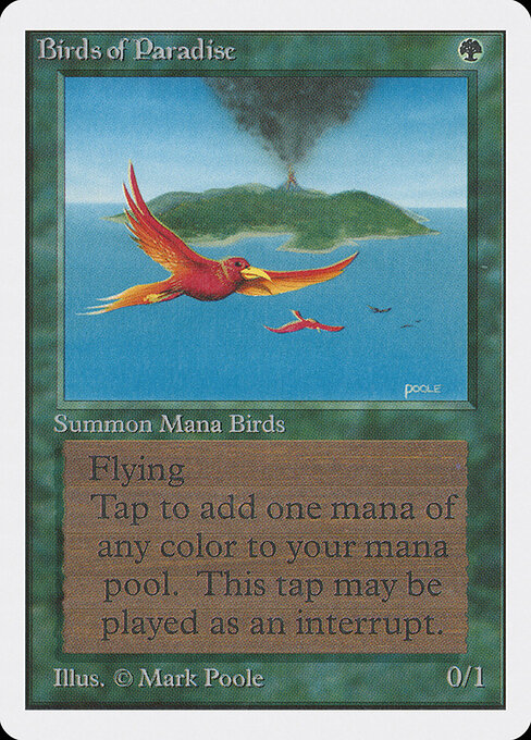 Birds of Paradise 187