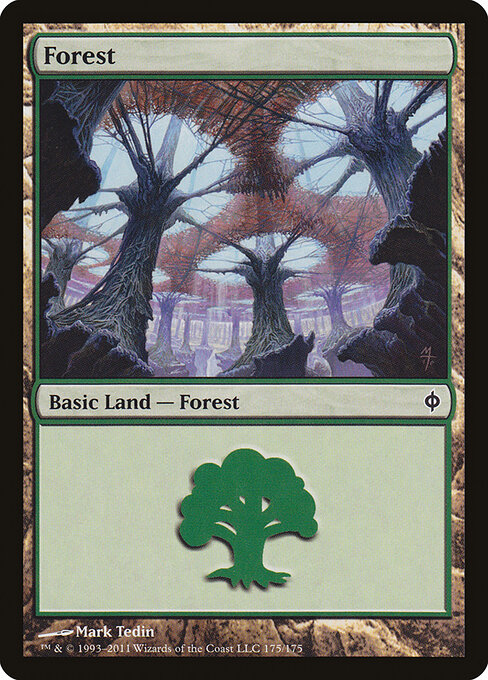 Forest 175